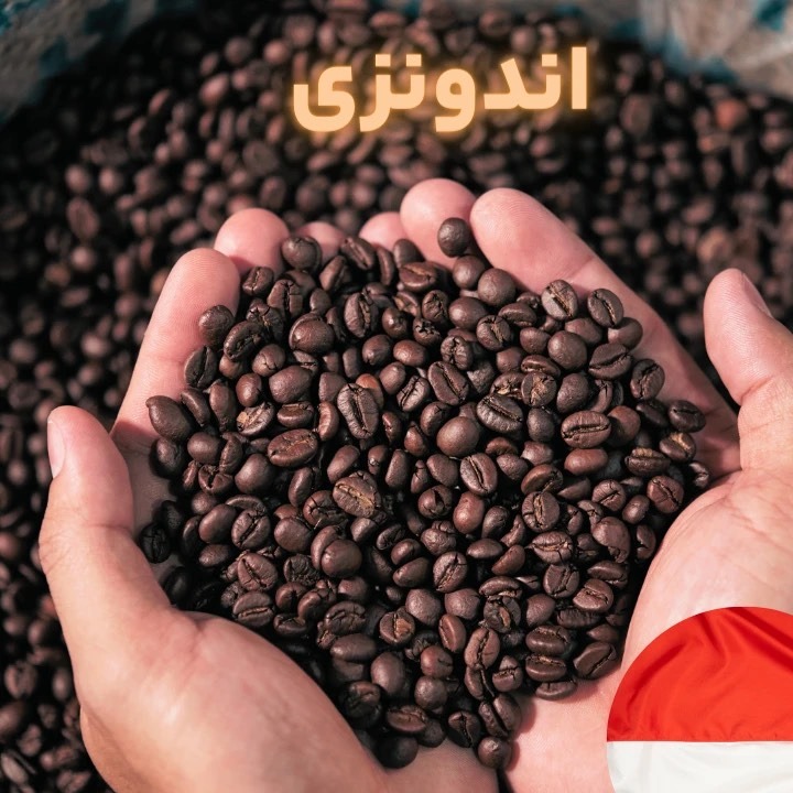 قهوه دان اندونزی ای پی وان (IP 1)